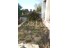 imagePreview