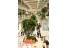 imagePreview