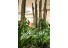 imagePreview