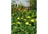 imagePreview