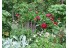 imagePreview