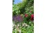 imagePreview