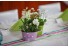 imagePreview