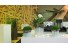 imagePreview
