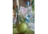 imagePreview