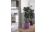 imagePreview