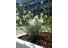 imagePreview