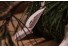 imagePreview