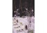 imagePreview