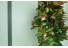 imagePreview