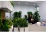 imagePreview