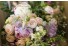imagePreview