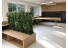 imagePreview